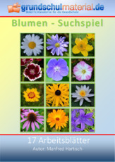 Blumen-Suchspiel.pdf